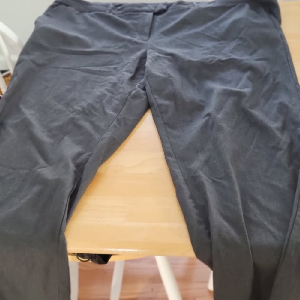Daisy Fuentes Womenn's Charcoal Gray Dress Pants